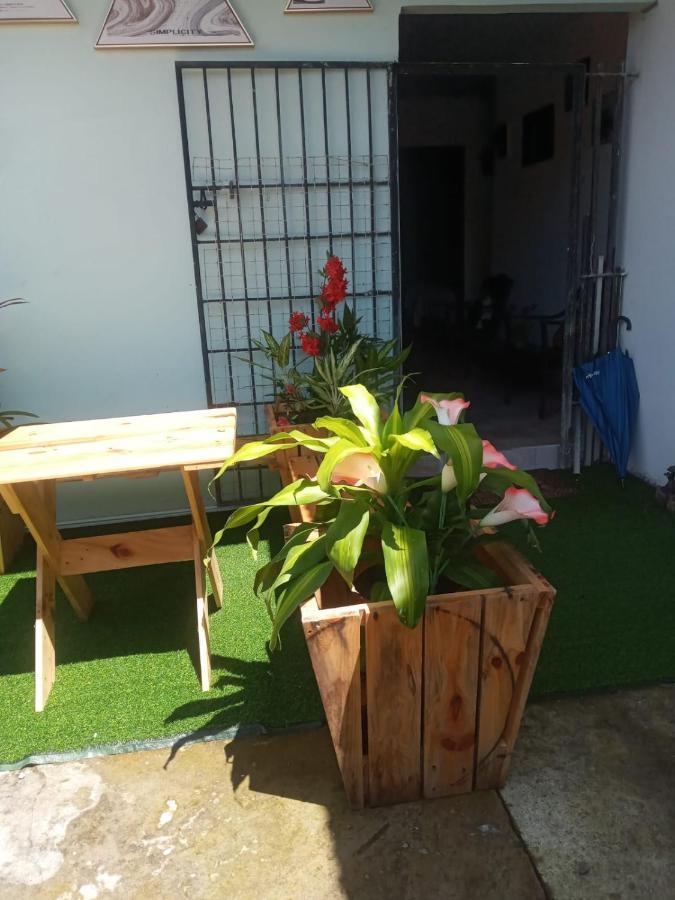 Hostal My House Your House David Exterior photo